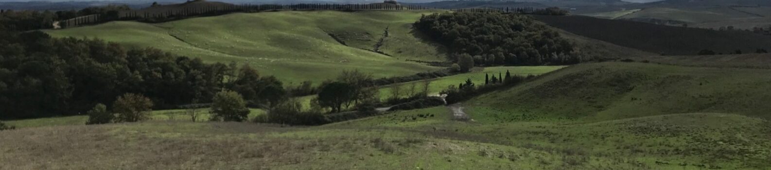 Paesaggio toscano, un bando per valorizzare i progetti sostenibili