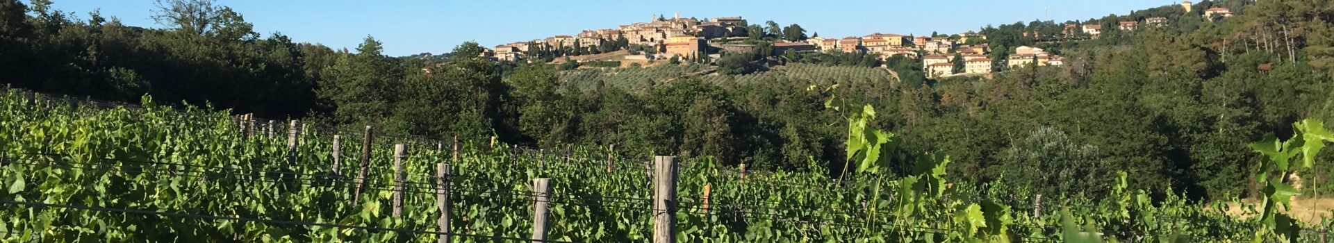 “Toscana bella e buona”: su intoscana.it i podcast sull’agroalimentare